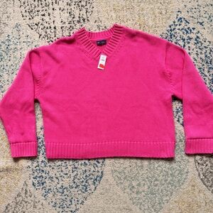 GAP Bright Pink V-Neck Sweater